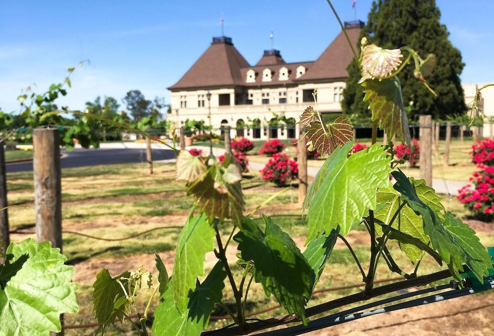 בראסלטון Chateau Elan Winery מראה חיצוני תמונה
